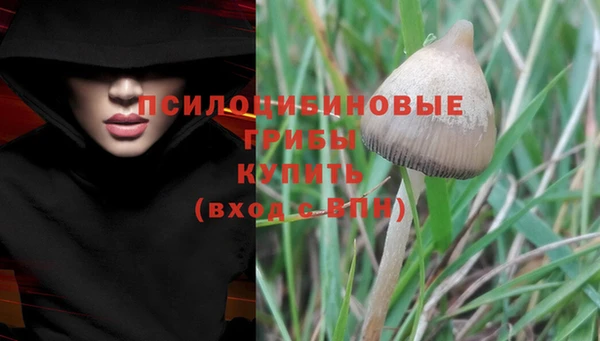 крисы Бугульма