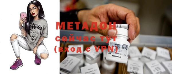 шишки Верхний Тагил