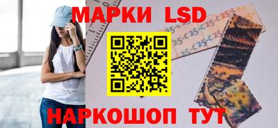 гидропоника Будённовск