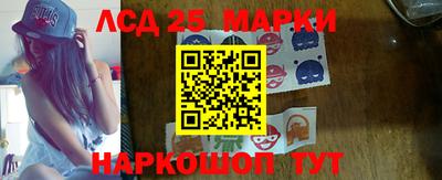 гидропоника Будённовск