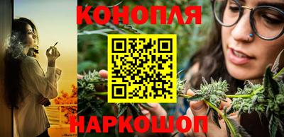 гидропоника Будённовск