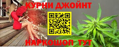 гидропоника Будённовск