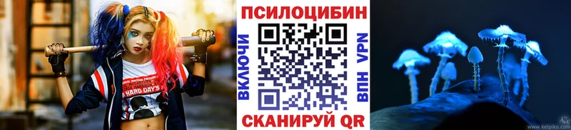 Псилоцибиновые грибы MAGIC MUSHROOMS OMG рабочий сайт Вязьма где можно купить